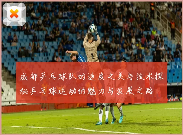 成都乒乓球队的速度之美与技术探秘乒乓球运动的魅力与发展之路