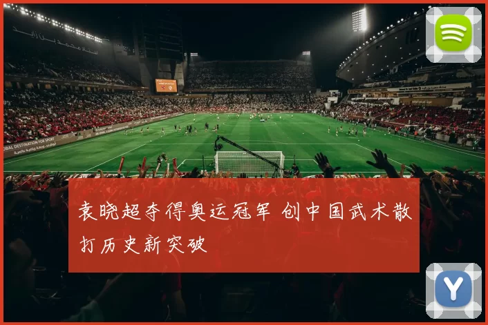 袁晓超夺得奥运冠军 创中国武术散打历史新突破