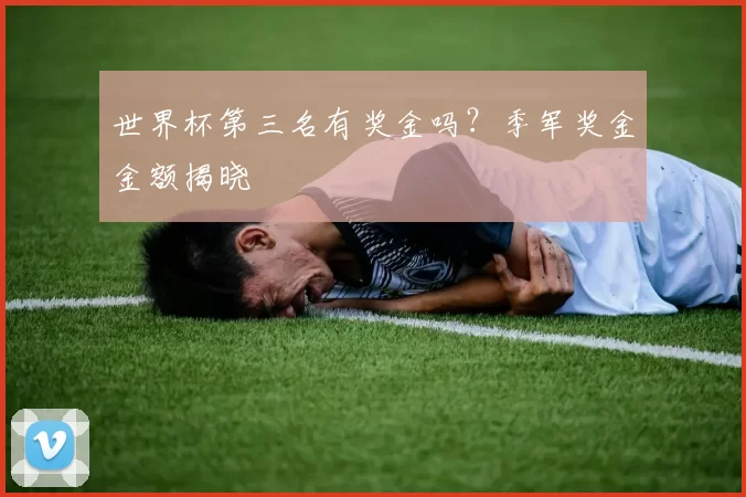 世界杯第三名有奖金吗?季军奖金金额揭晓