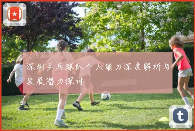 深圳乒乓球队个人能力深度解析与发展潜力探讨