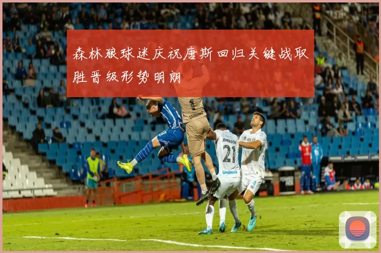 森林狼球迷庆祝唐斯回归关键战取胜晋级形势明朗