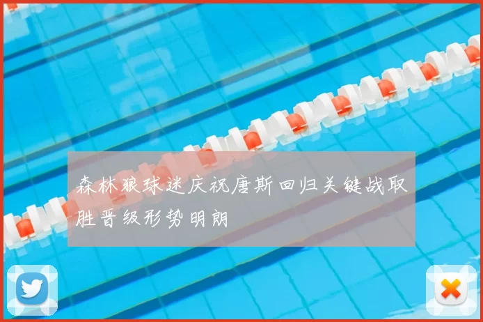森林狼球迷庆祝唐斯回归关键战取胜晋级形势明朗