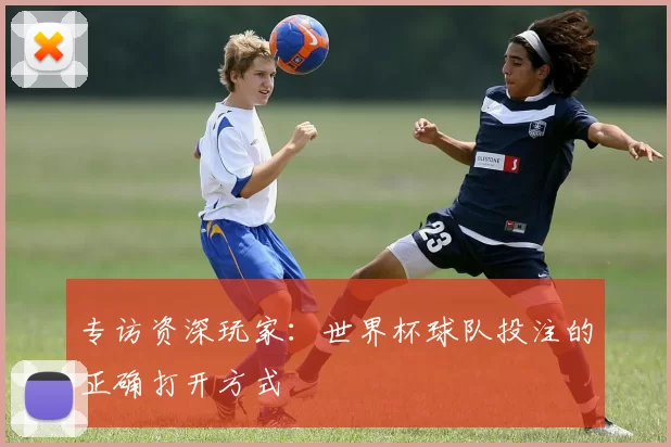 专访资深玩家：世界杯球队投注的正确打开方式